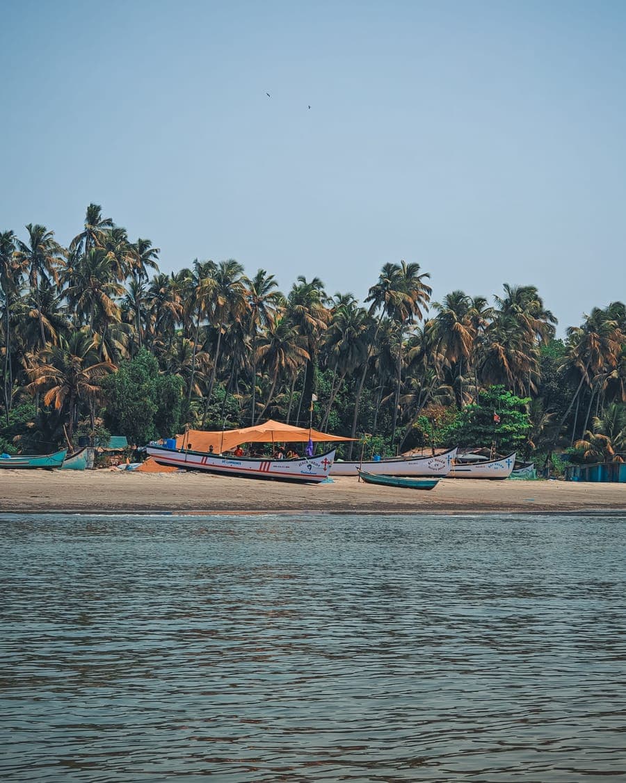 Fishing boats on a palm-fringed beach in Goa