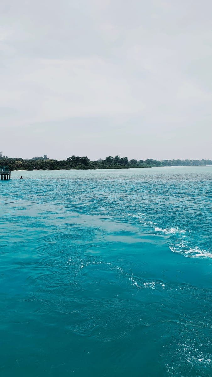 Turquoise water along a palm-lined beach in Goa