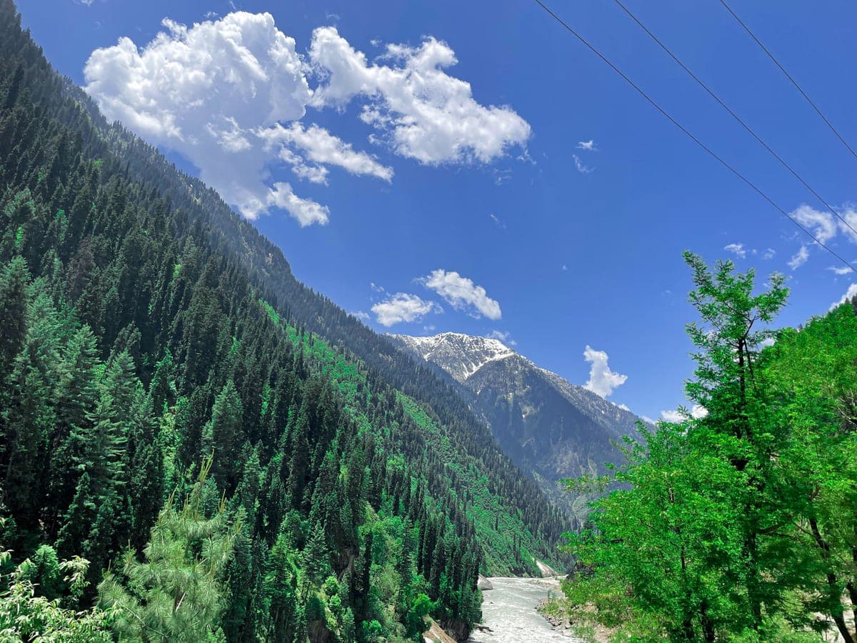 Forested valley under a blue sky with clouds