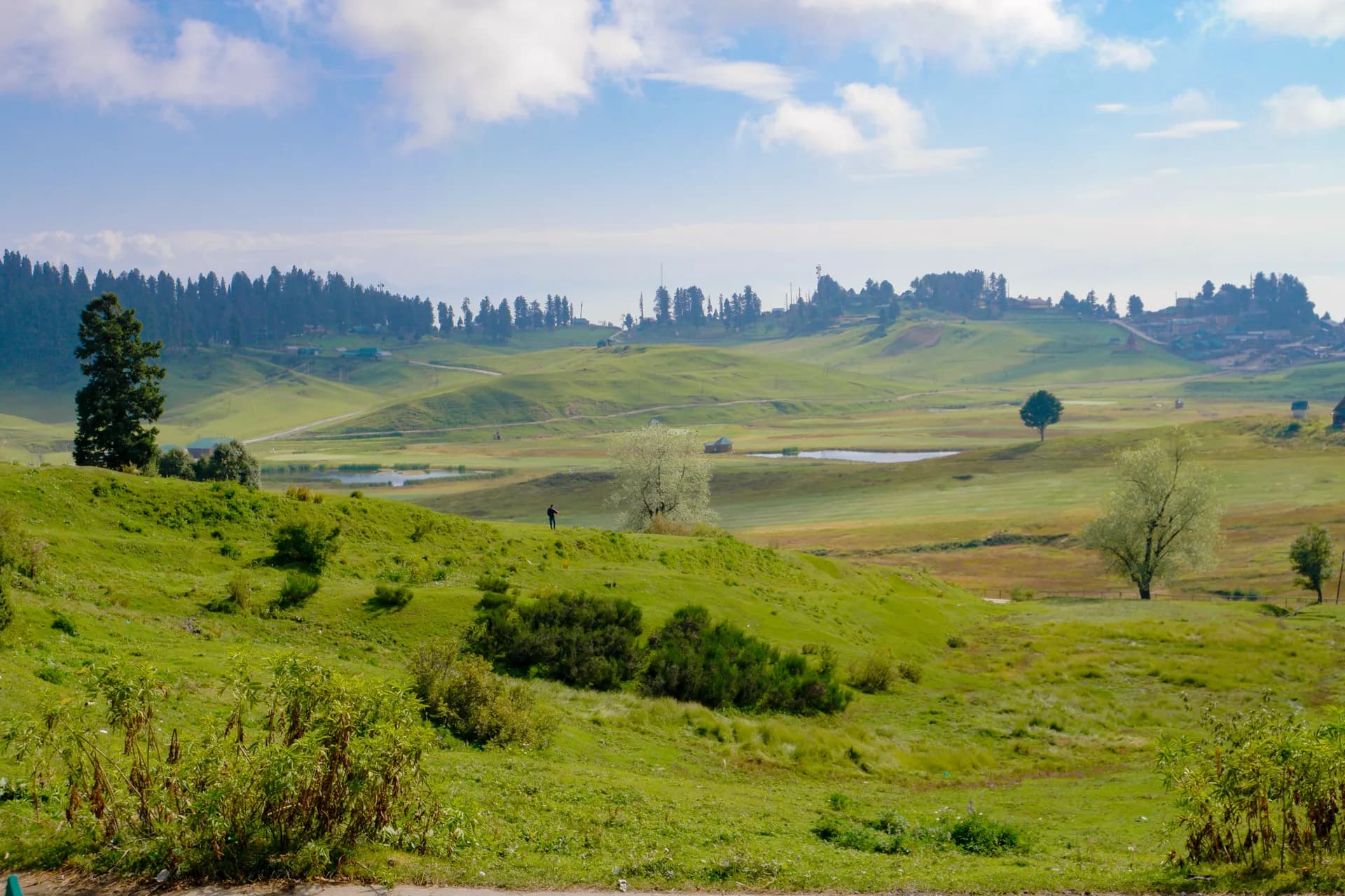 Enthralling Kashmir: Lakes, Gardens and Mountain Valleys