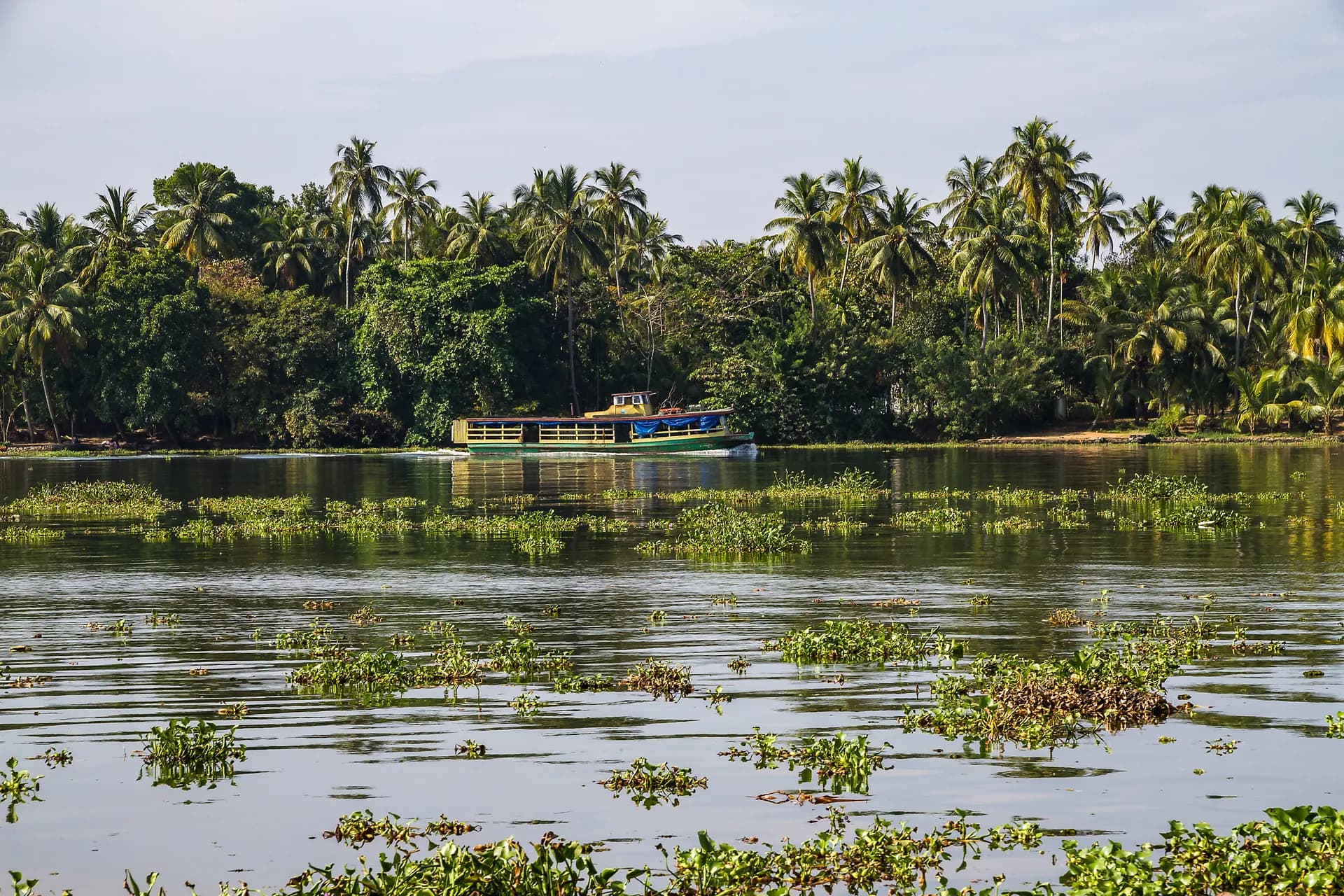 Kerala Family Special: Hills, Wildlife and Backwaters