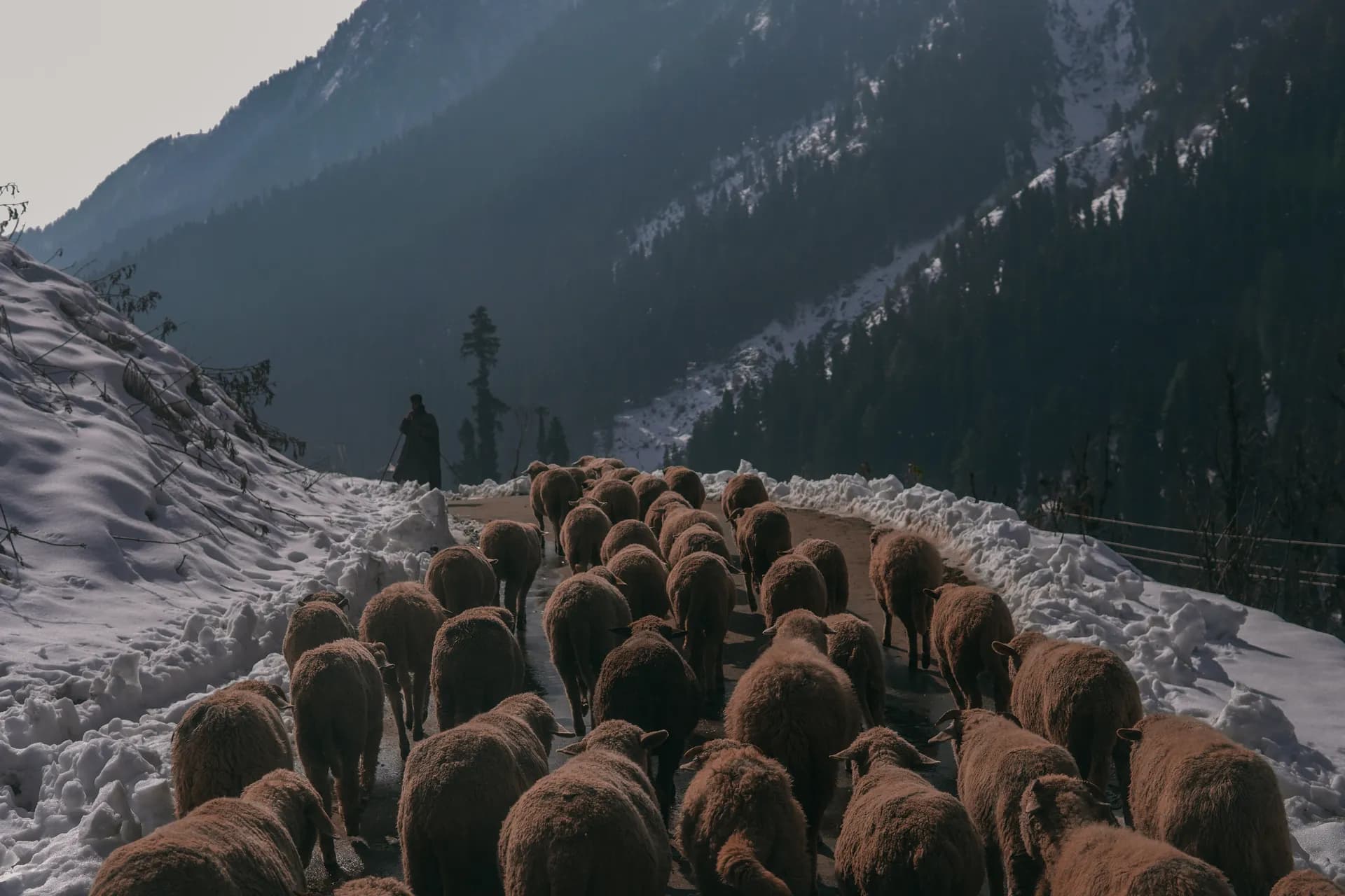 Enthralling Kashmir: Lakes, Gardens and Mountain Valleys