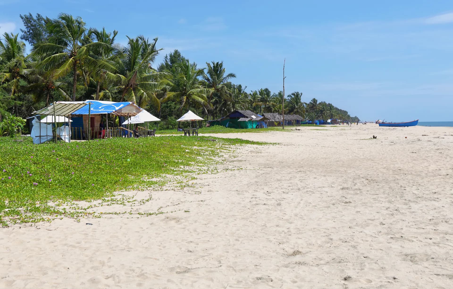 Kerala Family Special: Hills, Wildlife and Backwaters